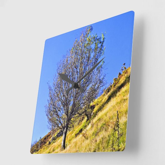 L0NE TREE QUADRATISCHE WANDUHR (Winkel)