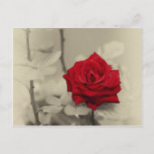 _L0S7918.jpg Postkarte (Vorderseite)