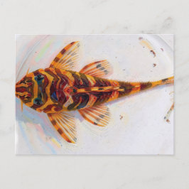 L134 Pleco Leopard Frosch Postkarte