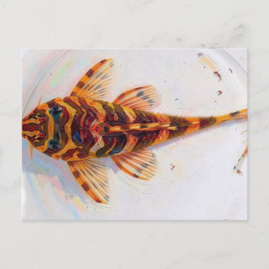 L134 Pleco Leopard Frosch Postkarte (Vorderseite)