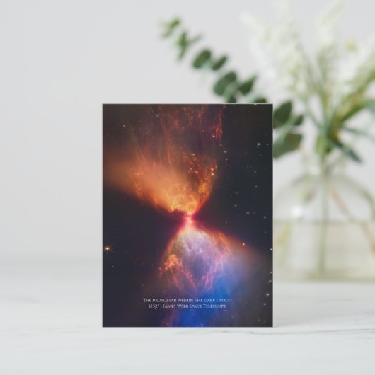 L1527 und Protostar - James Webb Space Telescope Postkarte (Stehend Vorderseite)