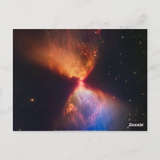 L1527 und Protostar - James Webb Space Telescope Postkarte (Rückseite)