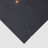 L1527 und Protostar - James Webb Space Telescope Seidenpapier (Ausschnitt)