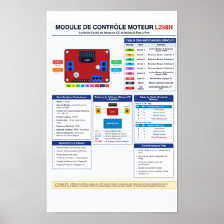 L298N Motor Treiberschaltplan Poster A3
