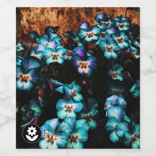 ʟ ᴏ ᴡᴡ | Pansy ~ Blueberry Weinetikett (Einzelnes Label)