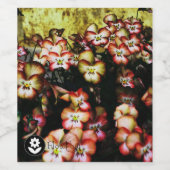 ʟ ᴏ ᴡᴡ | Pansy ~ Peach Weinetikett (Einzelnes Label)