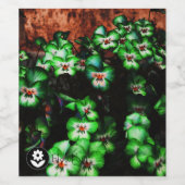 ʟ ᴏ ᴡᴡ | Pansy ~ Watermelon Weinetikett (Einzelnes Label)