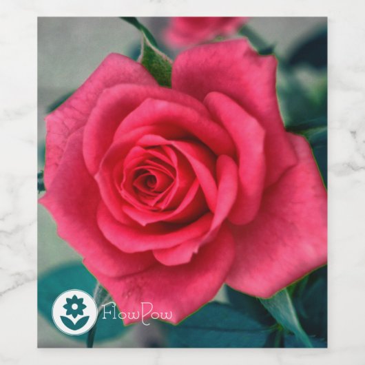 ʟ ᴏ ᴡᴡ | Rose ~ Romantik Weinetikett (Einzelnes Label)