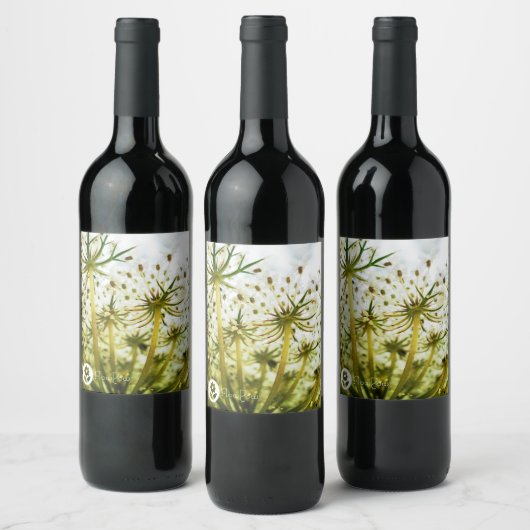 ʟ ᴏ ᴡᴡ | Wild Carrot ~ Ginger Weinetikett (Flaschen)