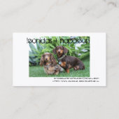 L.A.Doxies [Löwe+polie] Visitenkarte (Rückseite)