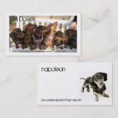 L.A.Doxies [Napoleon] Visitenkarte (Vorne/Hinten)