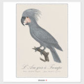 L’Ara gris à Trompe / Gray Palm Cockatoo Aufkleber (Blatt)