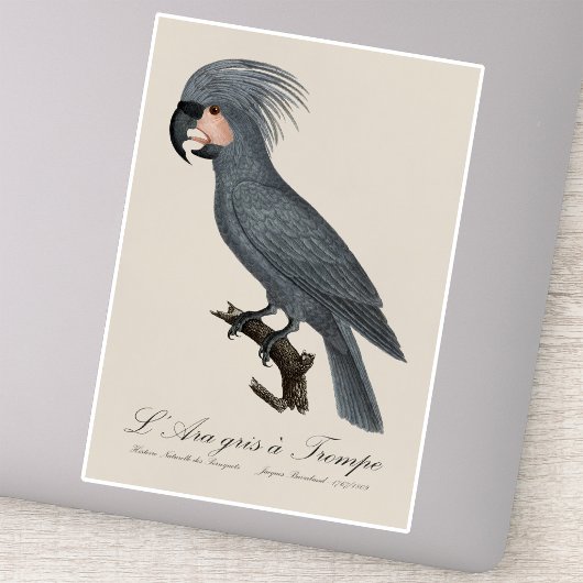L’Ara gris à Trompe / Gray Palm Cockatoo Aufkleber