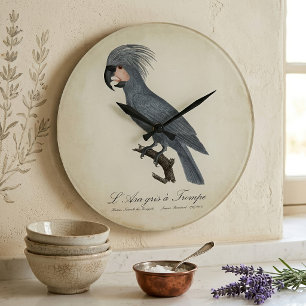 L’Ara gris à Trompe / Gray Palm Cockatoo Große Wanduhr