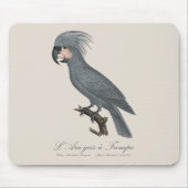 L’Ara gris à Trompe / Gray Palm Cockatoo Mousepad (Vorne)