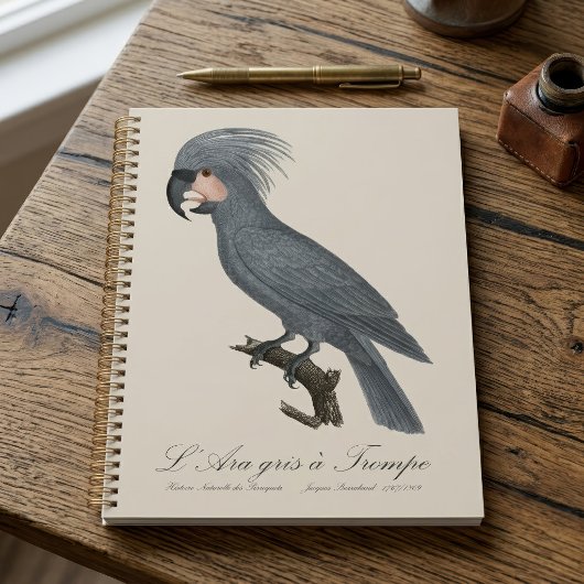 L’Ara gris à Trompe / Gray Palm Cockatoo Planer