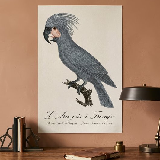 L’Ara gris à Trompe / Gray Palm Cockatoo Poster