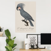 L’Ara gris à Trompe / Gray Palm Cockatoo Poster (Heimbüro)