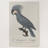L’Ara gris à Trompe / Gray Palm Cockatoo Puzzle (Vertikal)