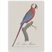 L' Ara Macao / Rot und Grün Aufkleber (Vorderseite)
