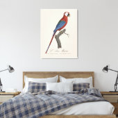 L' Ara Macao / Rot und Grün Leinwanddruck (Insitu (Schlafzimmer))