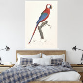 L' Ara Macao / Rot und Grün Leinwanddruck (Insitu (Schlafzimmer))