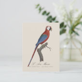 L' Ara Macao / Rot und Grün Postkarte (Stehend Vorderseite)