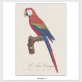 L' Ara Macao / Scarlet Macaw Aufkleber (Blatt)