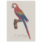 L' Ara Macao / Scarlet Macaw Aufkleber (Vorderseite)