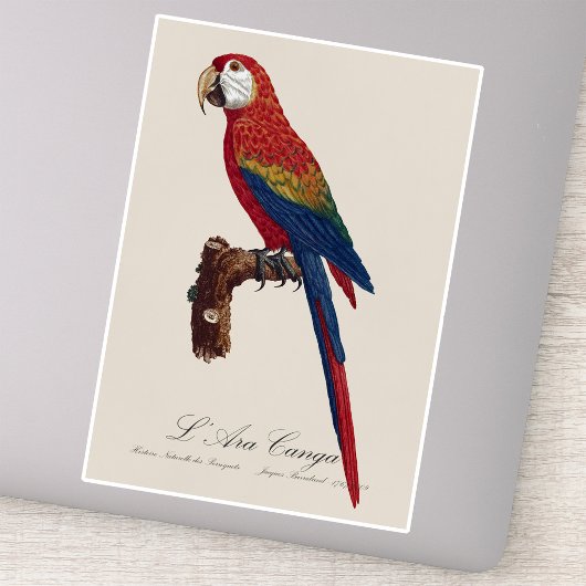 L' Ara Macao / Scarlet Macaw Aufkleber