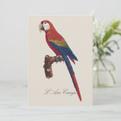 L' Ara Macao / Scarlet Macaw Dankeskarte (Stehend Vorderseite)
