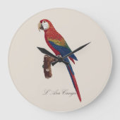 L' Ara Macao / Scarlet Macaw Große Wanduhr (Vorderseite)