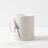 L' Ara Macao / Scarlet Macaw Kaffeetasse (Vorderseite Links)