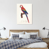 L' Ara Macao / Scarlet Macaw Leinwanddruck (Insitu (Schlafzimmer))