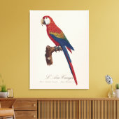 L' Ara Macao / Scarlet Macaw Leinwanddruck (Insitu (Wohnzimmer))