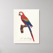 L' Ara Macao / Scarlet Macaw Leinwanddruck (Vorderseite)