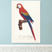 L' Ara Macao / Scarlet Macaw Leinwanddruck (Insitu (Holzboden))