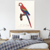 L' Ara Macao / Scarlet Macaw Leinwanddruck (Insitu (Schlafzimmer))