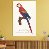 L' Ara Macao / Scarlet Macaw Leinwanddruck (Insitu (Wohnzimmer))