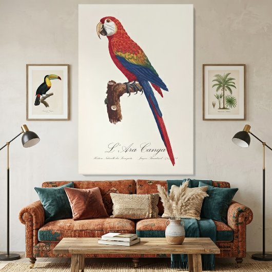 L' Ara Macao / Scarlet Macaw Leinwanddruck