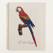L' Ara Macao / Scarlet Macaw Planer (Vorderseite)