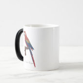 L' Ara Macao / Scarlet Macaw Verwandlungstasse (Vorderseite Links)