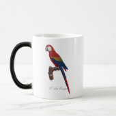 L' Ara Macao / Scarlet Macaw Verwandlungstasse (Links)