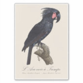 L' Ara Noir a Trompe / Palm Cockatoo Aufkleber (Vorderseite)
