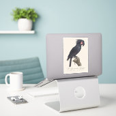 L' Ara Noir a Trompe / Palm Cockatoo Aufkleber (Laptop auf Schreibtisch)