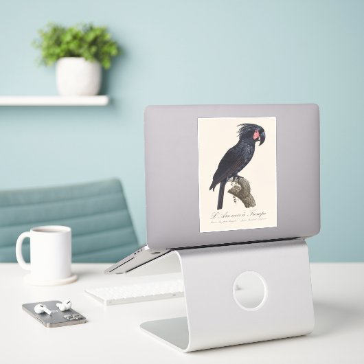 L' Ara Noir a Trompe / Palm Cockatoo Aufkleber (Laptop auf Schreibtisch)