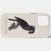 L' Ara Noir a Trompe / Palm Cockatoo Case-Mate iPhone Hülle (Rückseite (Horizontal))