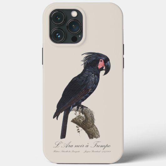 L' Ara Noir a Trompe / Palm Cockatoo Case-Mate iPhone Hülle (Rückseite)