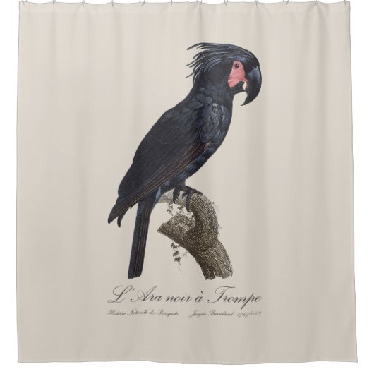 L' Ara Noir a Trompe / Palm Cockatoo Duschvorhang (Vorderseite)