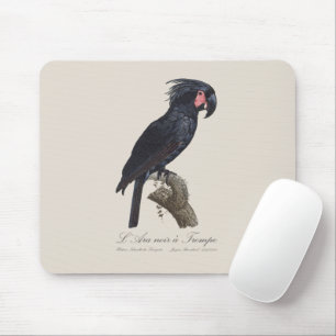 L' Ara Noir a Trompe / Palm Cockatoo Mousepad